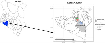 Assessment of dietary intake in children (6–48 months) and mothers (15–49 years) in different farming systems in Kenya using multiple pass 24-h recall